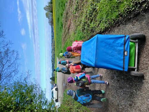 Waldspaziergang.jpg