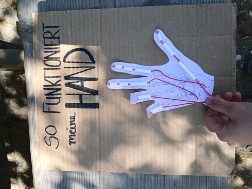 Hand.jpg