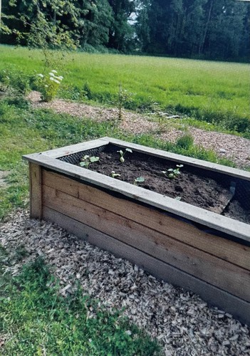 Hochbeet.jpg