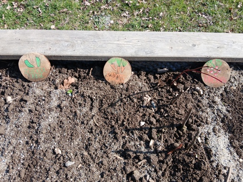 Hochbeet.jpg