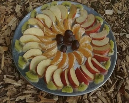 früchtebecher.jpg