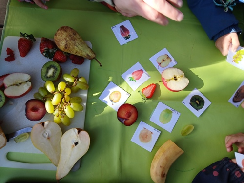 Obst.jpg